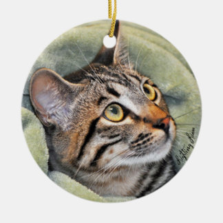 En Céramique Ornement de chat tigré de gris argenté de