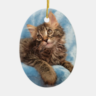 En Céramique Ornement de chaton de ragondin du Maine
