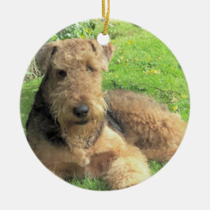 En Céramique Ornement de chien d'Airedale Terrier