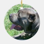 En Céramique Ornement de chien de corso de canne (Dos)