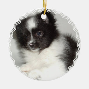 En Céramique Ornement de chien de Pomeranian de jouet