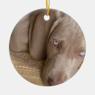 En Céramique Ornement de chien de sommeil Weimeraner