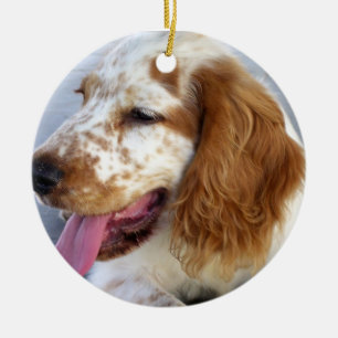 En Céramique Ornement de chiot de springer spaniel