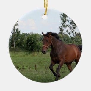 En Céramique Ornement de conception de cheval de baie