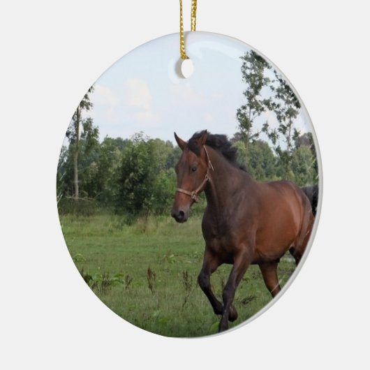 En Céramique Ornement de conception de cheval de baie (Gauche)