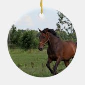 En Céramique Ornement de conception de cheval de baie (Dos)