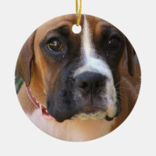 En Céramique Ornement de conception de chien de boxeur