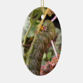En Céramique Ornement de ~ de la Caroline Hornworm (Droite)