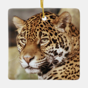 En Céramique Ornement de Jaguar