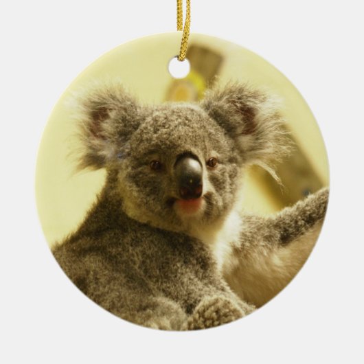 En Céramique Ornement de Koala (Devant)