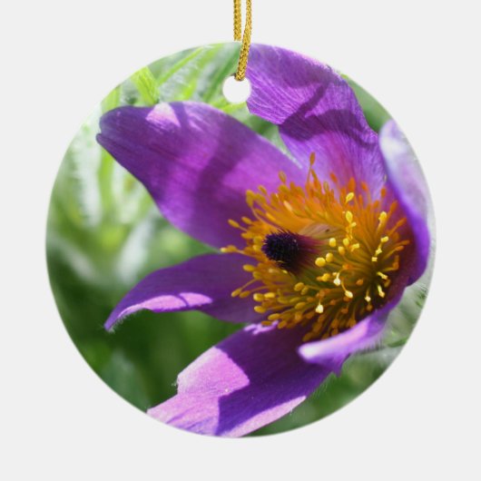 En Céramique Ornement de la fleur de couleur pasque violet (Devant)