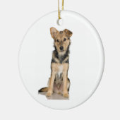 En Céramique Ornement de Malinois de Belge (Gauche)