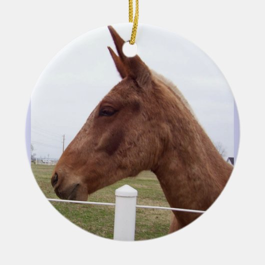 En Céramique Ornement de marée de mule (Devant)