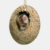 En Céramique Ornement de Pauley de cache-cache (Droite)