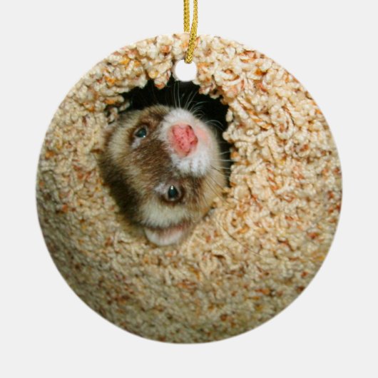 En Céramique Ornement de Pauley de cache-cache (Devant)