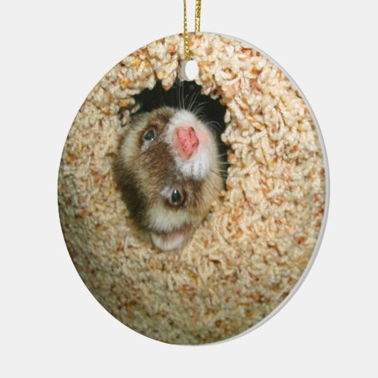 En Céramique Ornement de Pauley de cache-cache (Gauche)