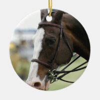 Ornement de photo de cheval de Warmblood