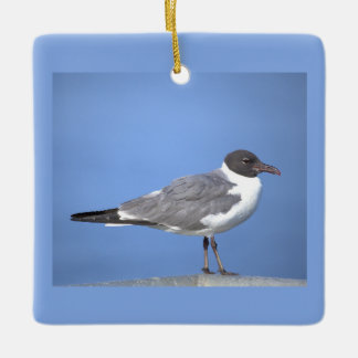 En Céramique Ornement de photo de mouette rieuse