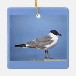 En Céramique Ornement de photo de mouette rieuse