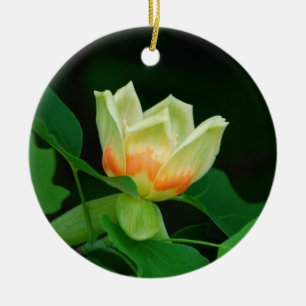 En Céramique Ornement de tulipe d'arbre de peuplier