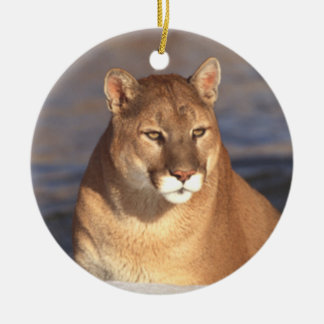 En Céramique Ornement de visage de puma