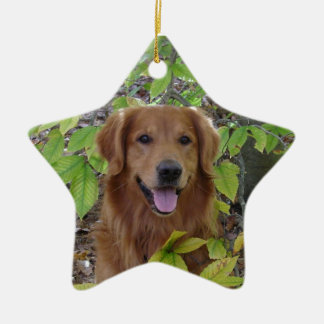 EN CÉRAMIQUE ORNEMENT D'ÉTOILE DE GOLDEN RETRIEVER