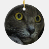 En Céramique Ornement d'intensité (Dos)