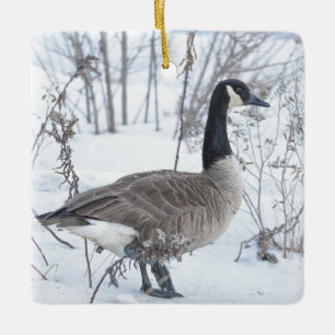 En Céramique Ornement d'oie du Canada dans la neige