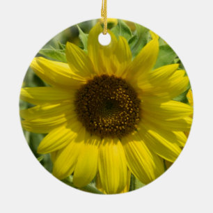 En Céramique Ornement d'or de tournesol