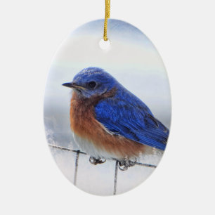 En Céramique Ornement d'ovale d'oiseau bleu