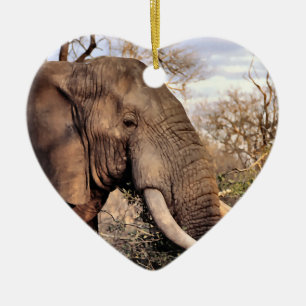 En Céramique Ornement faune et flore artistique éléphant