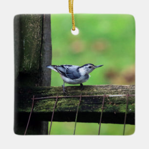 En Céramique Ornement Nuthatch
