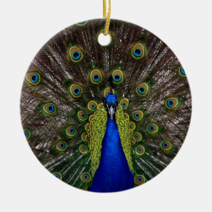 En Céramique Ornement Peacock