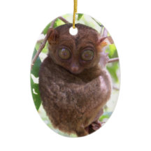 Ornement philippin de Tarsier