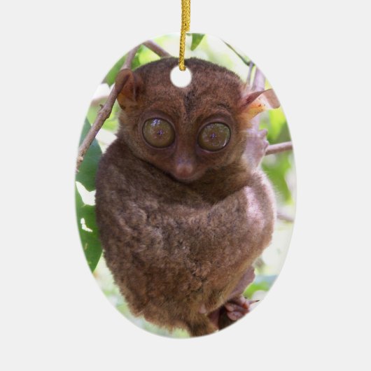 En Céramique Ornement philippin de Tarsier (Devant)