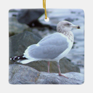 En Céramique Ornement photo de mouette
