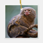 En Céramique Ornement Pygmy Marmoset (Devant)