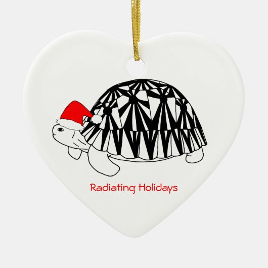 En Céramique Ornement rayonné de tortue (Devant)