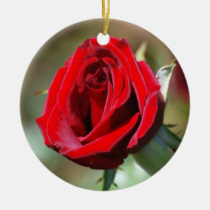 En Céramique Ornement Rose rouge