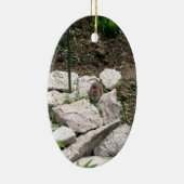 En Céramique Ornement Vole (Droite)