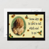 En dat is het einde! briefkaart (Voorkant / Achterkant)