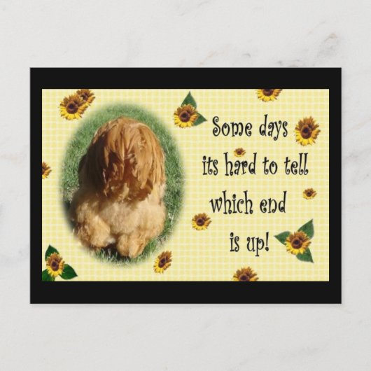 En dat is het einde! briefkaart (Voorkant)