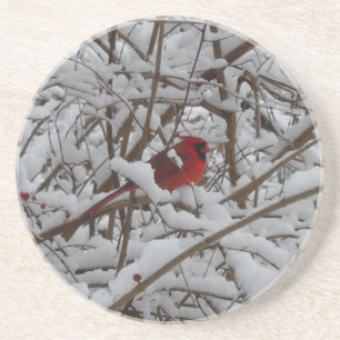En Grès Beau Cardinal Rouge dans le Dessous de verre d'arb