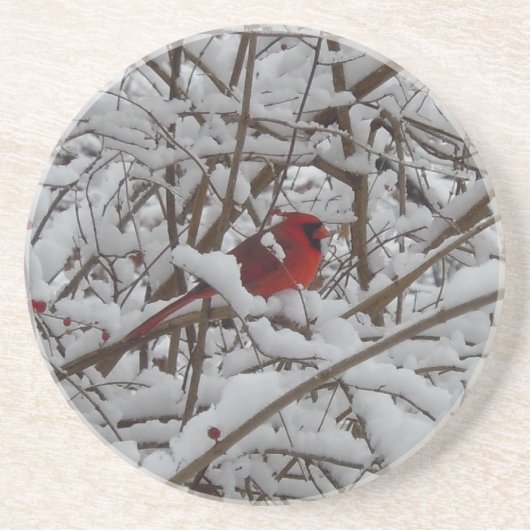En Grès Beau Cardinal Rouge dans le Dessous de verre d'arb (Devant)