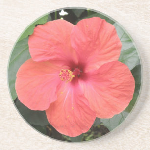 En Grès Beaux Dessous de verre à fleurs d'Hibiscus orange