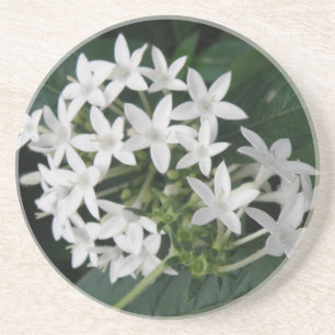 En Grès Beaux Dessous de verre de fleurs tropicales blanch