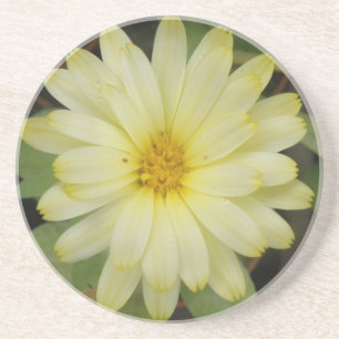En Grès Beaux Dessous de verre de Marigold Jaune