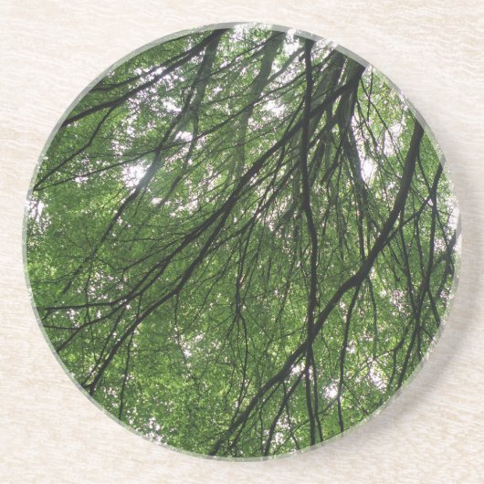 En Grès Branches et Dessous de verre Feuille (Devant)