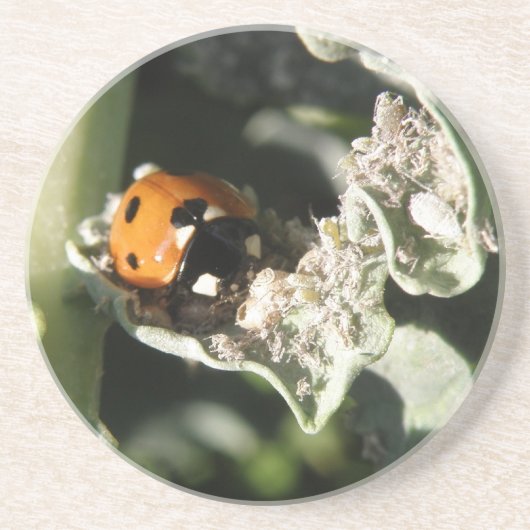 En Grès British 7 Spot Ladybug Dessous de verre (Devant)