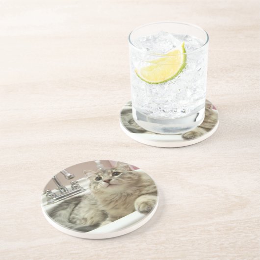En Grès chat dans des dessous de verre d'évier (Côté)
